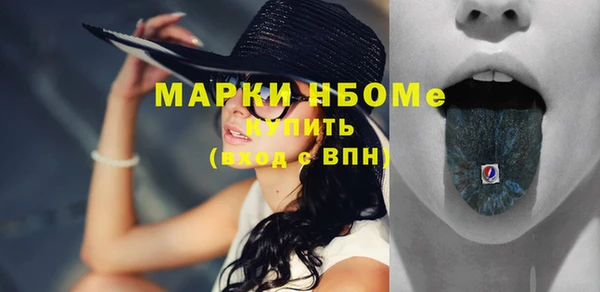 индика Новочеркасск