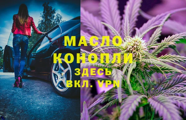 индика Новочеркасск