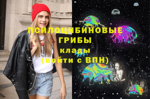 индика Новочеркасск