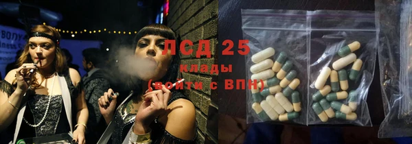 индика Новочеркасск
