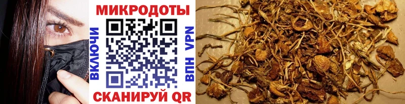 блэк спрут рабочий сайт  darknet Telegram  Галлюциногенные грибы MAGIC MUSHROOMS  Реутов 