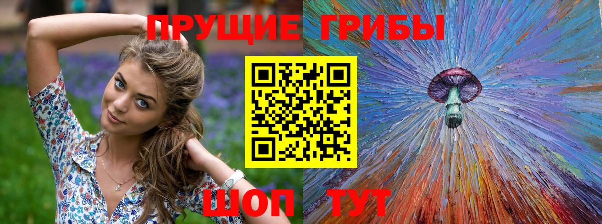 Галлюциногенные грибы Psilocybine cubensis  Вход с VPN  Реутов 