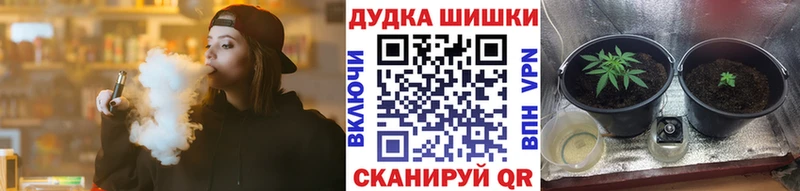 Бошки Шишки MAZAR  Реутов 
